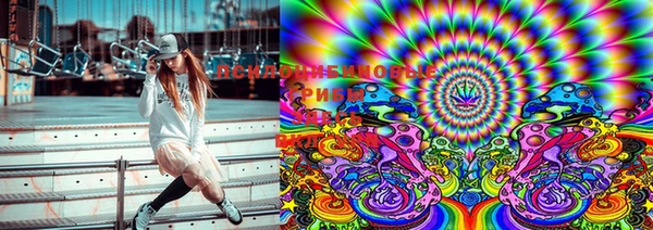 PSILOCYBIN Верея