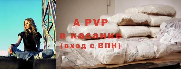 амф Каменногорск