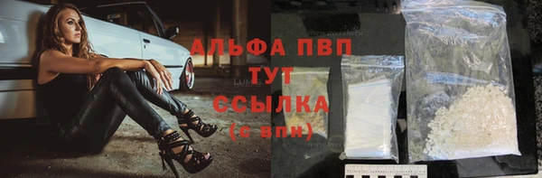 PSILOCYBIN Верея