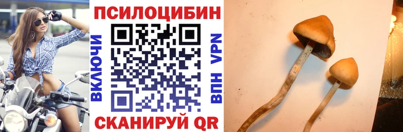 что такое наркотик  Еманжелинск  Галлюциногенные грибы Cubensis 