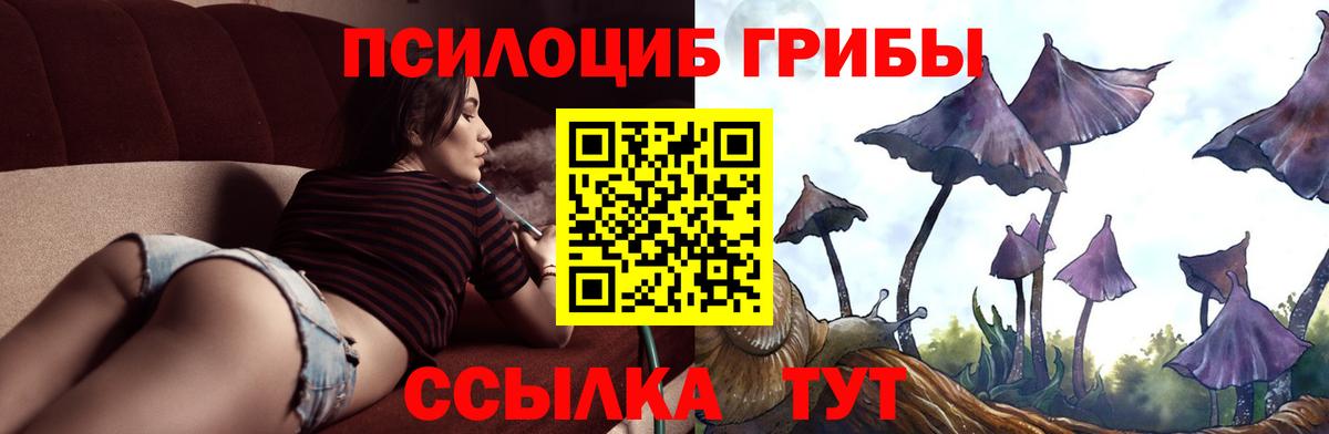 Галлюциногенные грибы MAGIC MUSHROOMS Еманжелинск