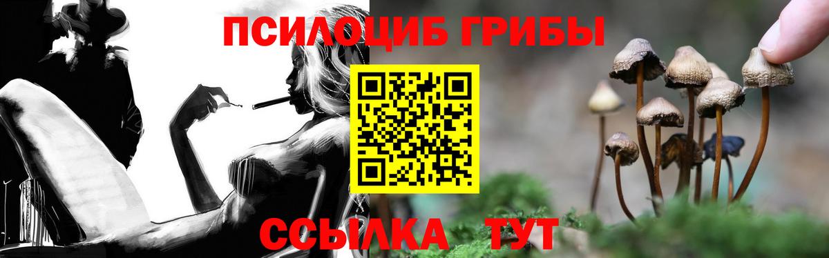 Галлюциногенные грибы прущие грибы  Еманжелинск 